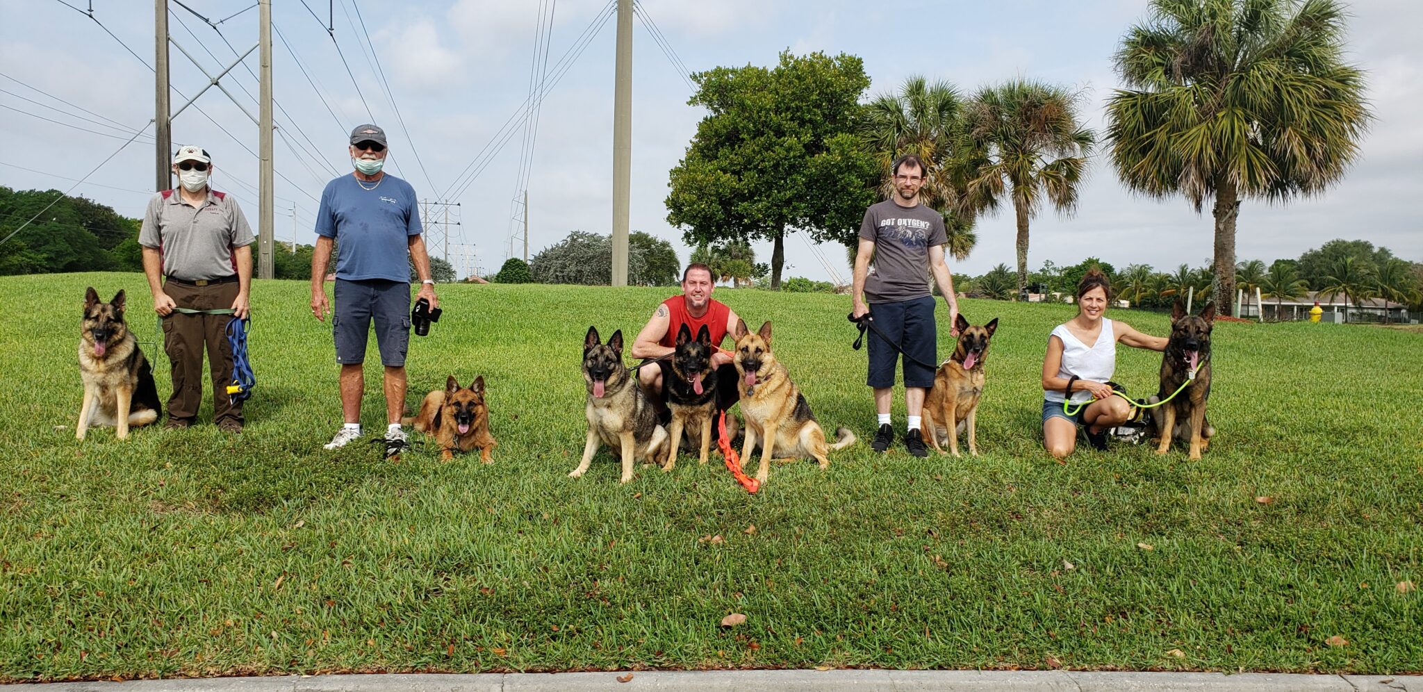 if-you-are-looking-for-dog-obedience-training-near-me-we-can-help