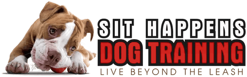 Sit Happens Dog Training